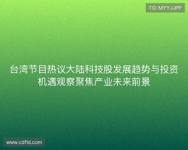 台湾节目热议大陆科技股发展趋势与投资机遇观察聚焦产业未来前景
